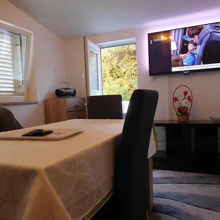 Apartman Ivancevic *