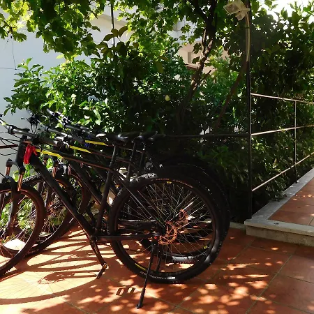 Apartment Ivancevic *