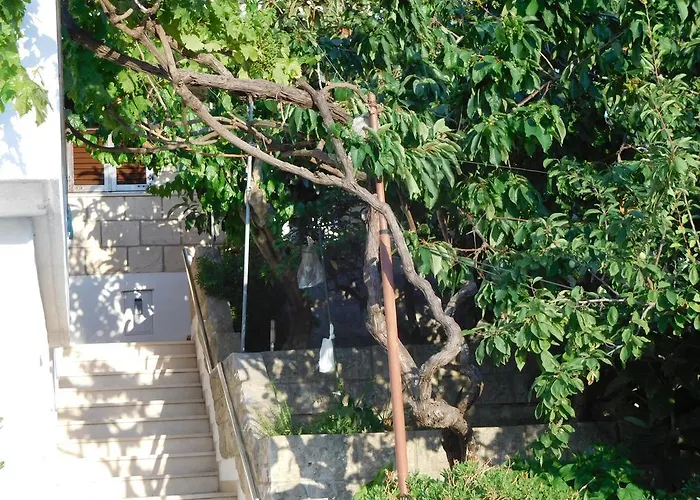 Ivancevic דירה Medvinjak