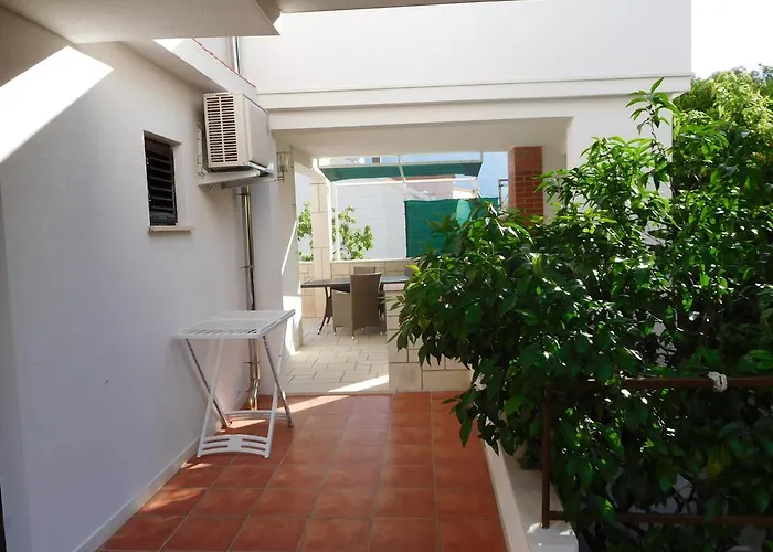 Ivancevic * Medvinjak