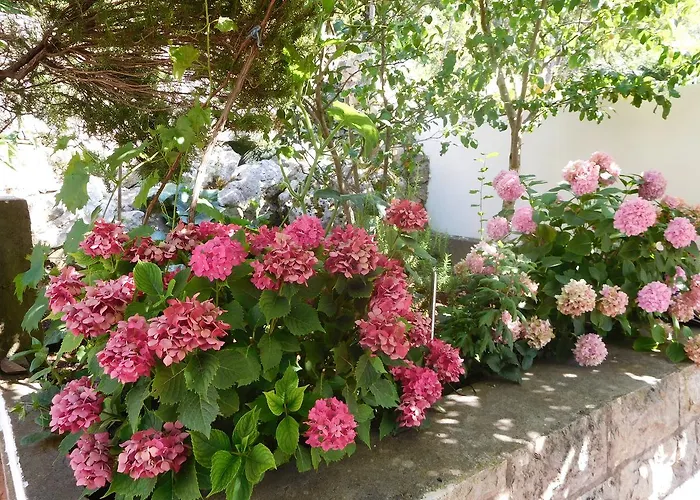 Ivancevic * Medvinjak