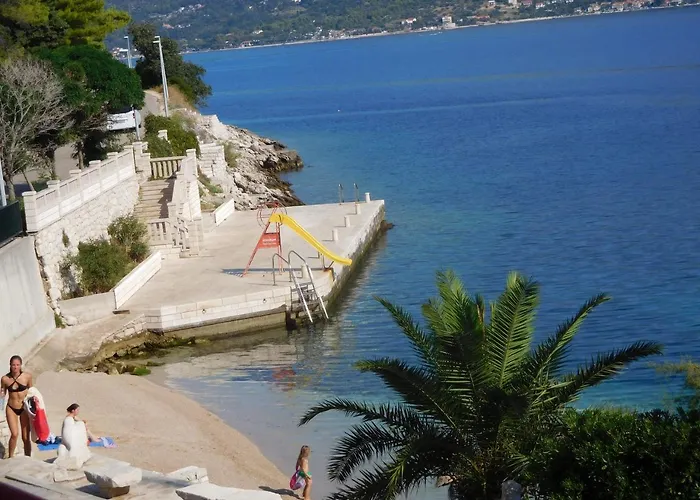 Ivancevic * Medvinjak