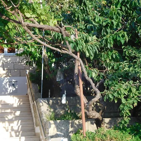 Ivancevic Apartment Medvinjak